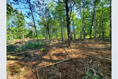 344 Belmont Avenue, Belfast, ME 04915 - Photo 52