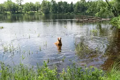 Map 16 Lot 3-2, 3-4, Mattawamkeag, ME 04459 - Photo 2