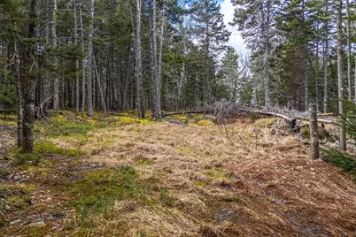 12D, 12I Mildred Grace Road, Islesboro, ME 04848 - Photo 12