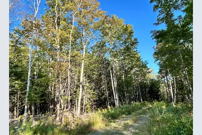 Map 11 Lot 8 Gray Road, Sangerville, ME 04479 - Photo 18