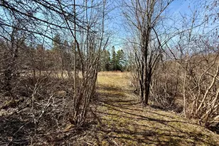 30 Harrision Rd, Edmunds Twp, ME 04628 - Photo 74