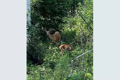 1594 Rangeley Road, Phillips, ME 04966 - Photo 16