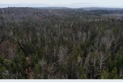 Map5Lot1 Silvers Mills Road, Sangerville, ME 04479 - Photo 14