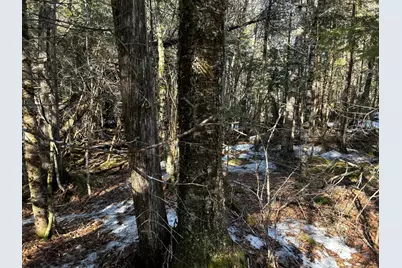 Map5Lot1 Silvers Mills Road, Sangerville, ME 04479 - Photo 30