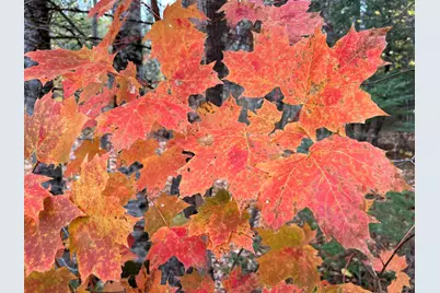 Map5Lot1 Silvers Mills Road, Sangerville, ME 04479 - Photo 2