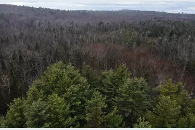 Map5Lot1 Silvers Mills Road, Sangerville, ME 04479 - Photo 20