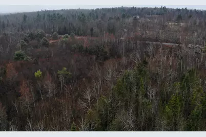 Map5Lot1 Silvers Mills Road, Sangerville, ME 04479 - Photo 22