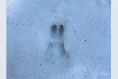 Map5Lot1 Silvers Mills Road, Sangerville, ME 04479 - Photo 24