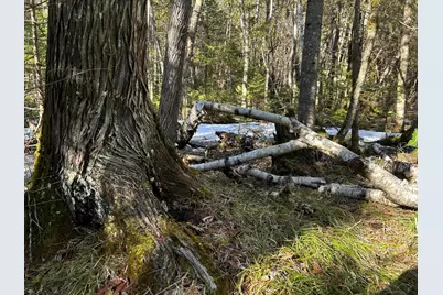 Map5Lot1 Silvers Mills Road, Sangerville, ME 04479 - Photo 28