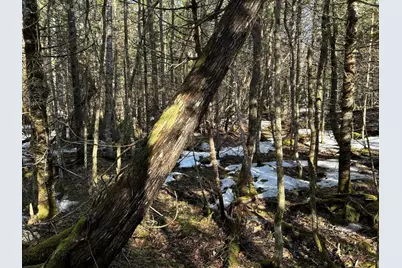 Map5Lot1 Silvers Mills Road, Sangerville, ME 04479 - Photo 32