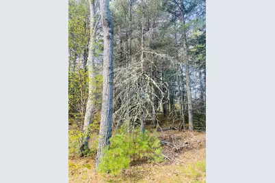 125 (#10) Pine Ledge Road, Bangor, ME 04401 - Photo 4