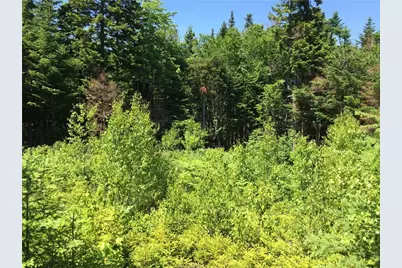 65 Lookout Mountain Road, East Machias, ME 04630 - Photo 12