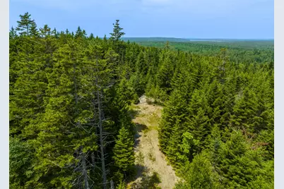 65 Lookout Mountain Road, East Machias, ME 04630 - Photo 22