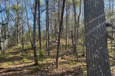 00 Skillings Drive, Woolwich, ME 04579 - Photo 10