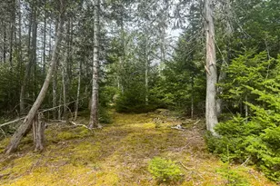 242 Bottle Lake Rd, Springfield, ME 04487 - Photo 36