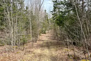 242 Bottle Lake Rd, Springfield, ME 04487 - Photo 46