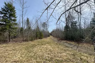 242 Bottle Lake Rd, Springfield, ME 04487 - Photo 34