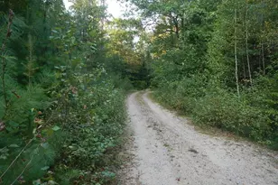 01-9 2 Lord Brook Rd, Island Falls, ME 04417 - Photo 10