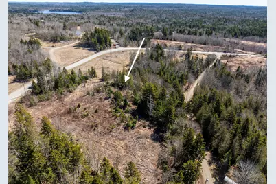 Lot 19-13D Halls Mills Road, Whiting, ME 04691 - Photo 4