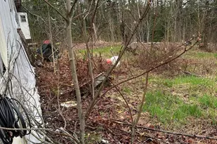 266 Willey District Rd, Cherryfield, ME 04622 - Photo 4