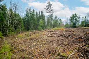 3 Forest Dr, Albany, ME 04217 - Photo 14