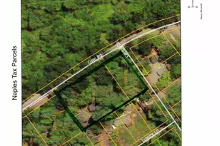 87 & 91 Gore, Naples, ME 04055 - Photo 2