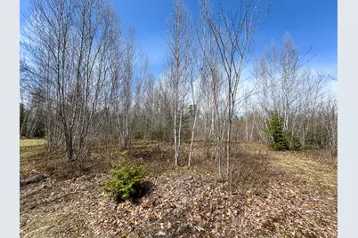 111 Fryes Lane, Greenbush, ME 04418 - Photo 28