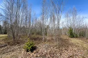 111 Fryes Ln, Greenbush, ME 04418 - Photo 28