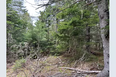 Lot 4 Julian Road, Lubec, ME 04631 - Photo 12