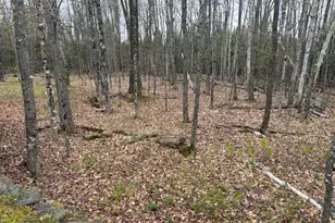 560 Steadmans Landing Rd, Dover Foxcroft, ME 04426 - Photo 22