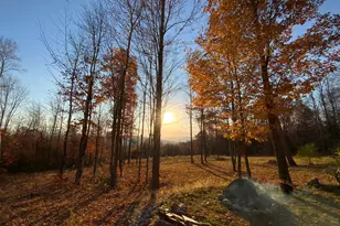 509 Blackberry Ln, Rumford, ME 04276 - Photo 44