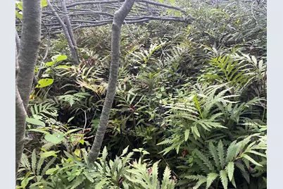 0 Cross Street, Manchester, ME 04351 - Photo 52