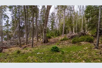 Map 22 Lot 4B Big Tree Lane, Islesboro, ME 04848 - Photo 14