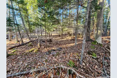 Map 22 Lot 4B Big Tree Lane, Islesboro, ME 04848 - Photo 12