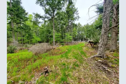 0 Blackcat Pt Drive, Princeton, ME 04668 - Photo 8