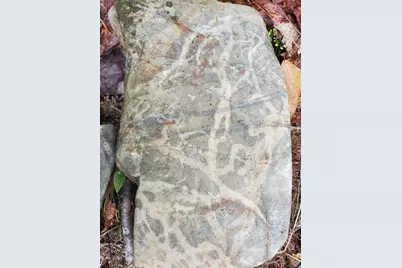 0 Blackcat Pt Drive, Princeton, ME 04668 - Photo 34