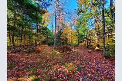 0 Blackcat Pt Drive, Princeton, ME 04668 - Photo 38