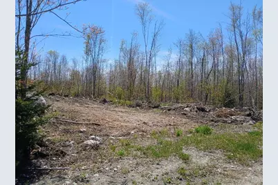 40 B Eleanor Mae Road/ Lower Road Road, Deblois, ME 04622 - Photo 2