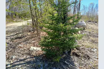 40 B Eleanor Mae Road/ Lower Road Road, Deblois, ME 04622 - Photo 10