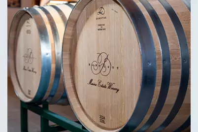 175 Chicken Mill Pond Road, Gouldsboro, ME 04607 - Photo 1