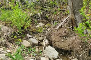 259-265 Bowden Point Rd, Prospect, ME 04981 - Photo 120