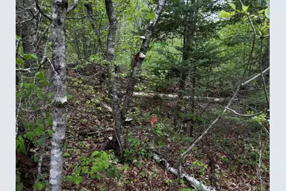 696 Lebanon Road, Winterport, ME 04496 - Photo 18