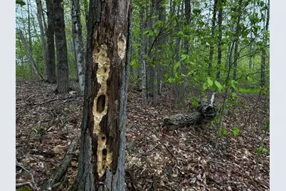 696 Lebanon Road, Winterport, ME 04496 - Photo 28