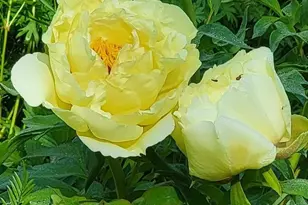 34 Highview Ave, Hancock, ME 04640 - Photo 30