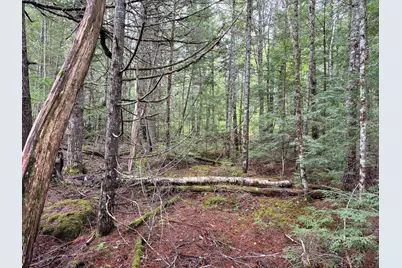 M7L16 Upper Pug Road W, Lakeville, ME 04487 - Photo 16