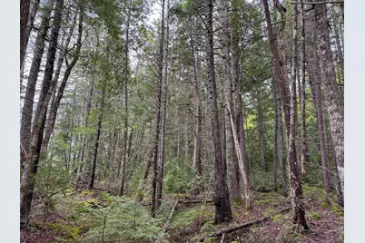 M7L16 Upper Pug Road W, Lakeville, ME 04487 - Photo 32