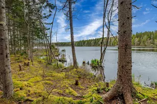 176 N Main St, Stonington, ME 04681 - Photo 46