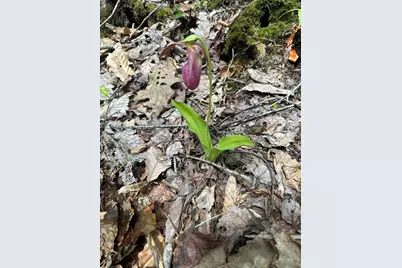 Lot#10 Shamrock Lane, Damariscotta, ME 04543 - Photo 20