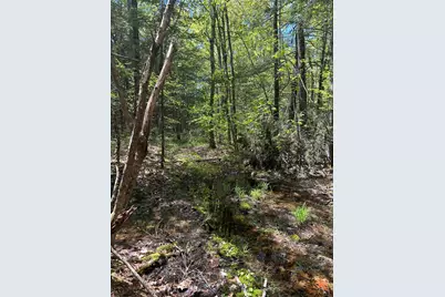 Lot#10 Shamrock Lane, Damariscotta, ME 04543 - Photo 14