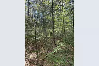 Lot#10 Shamrock Lane, Damariscotta, ME 04543 - Photo 12